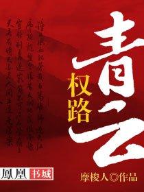 权路青云全文免费