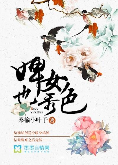 婢女戏情