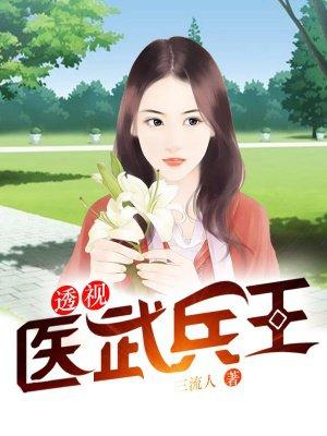 透视医武兵王陆山txt