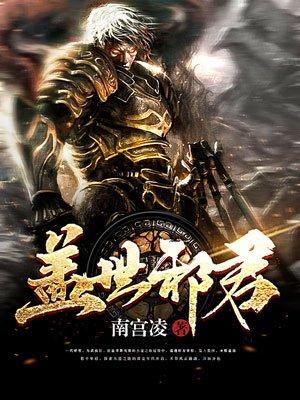 盖世邪君评价