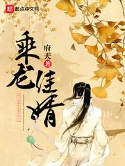 乘龙佳婿 几个女主