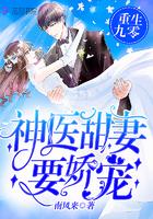 重生九零神医甜妻要娇宠 南来风