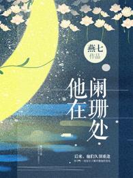 他在阑珊处在线阅读