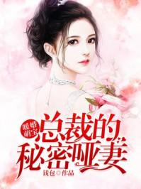 暖婚萌宝总裁的秘密哑妻 钱包