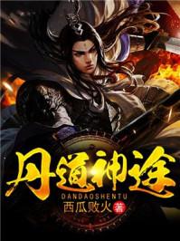 丹道神途大结局是什么