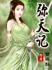 弥天记有多少册