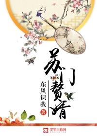 苏门赘婿1-100集短剧