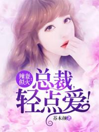 辣妻似火总裁