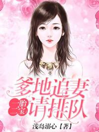 一胎三宝爹地追妻请排队