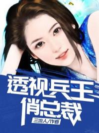 透视兵王俏总裁 作者三流人
