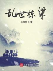 乱世栋梁中的小王爷有多大