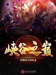峡谷之巅在线阅读