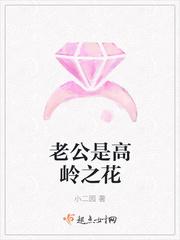 老公高岭之花讲什么