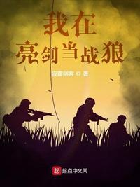我在亮剑当战狼TXT完本
