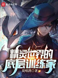 精灵世界的底层训练家实力划分
