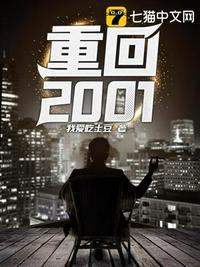 重回2001陈江河