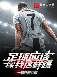 足球应该像我这样踢免费阅读