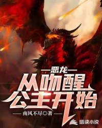 恶龙x公主