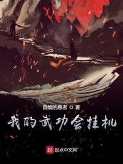 我的武功会挂机TXT全文