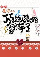 顶流隐婚翻车了by魔安番外