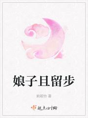 娘子且留步讲什么故事