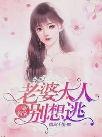 叶南弦沈蔓歌全文阅读结局