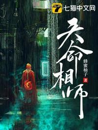 天命相师免费