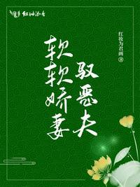 软软娇妻驭恶夫大结局是什么