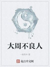 大周不良人TXT精校奇书网