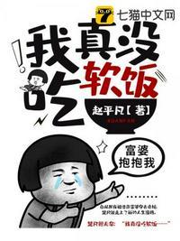 我真没吃软饭 赵平凡