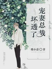 沐暖暖和慕霆枭免费阅读全文