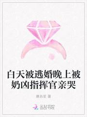 白天逃婚晚上被奶凶指挥官亲哭漫画co