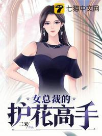 女总裁的护花高手秦兽