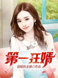 第一狂婿林枫等级划分
