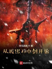 从拔出石中剑开始TXT免费