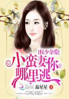 权少独占小娇妻好看吗?