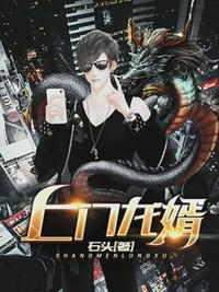 上门龙婿林萱