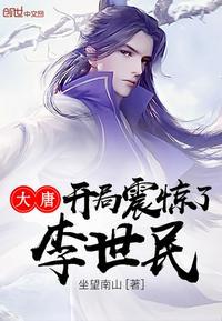 大唐开局震惊了李世民王子安有几个女人