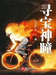 寻宝神瞳txt百度