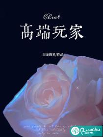 高端玩家属于什么阶层