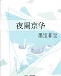 夜阑京华 墨宝非宝讲的什么