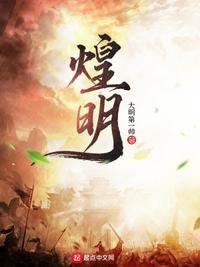 煌明三十年夜月无光免费阅读