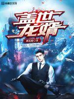 盖世龙婿丁岩第二部在线观看