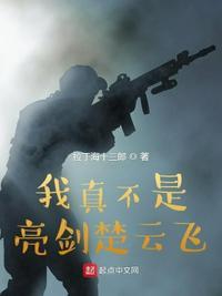我真不是亮剑头