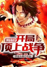 海贼开局解说顶上战争