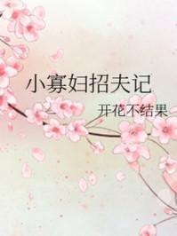 小寡妇招夫记大结局