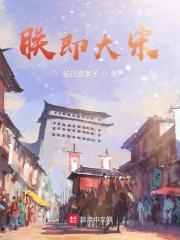 朕即大宋杨氏良家子免费观看