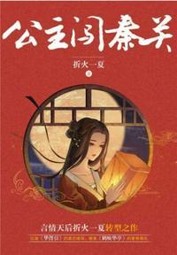 公主闯秦关txt百度资源免费