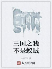 三国之我真不是诸葛亮