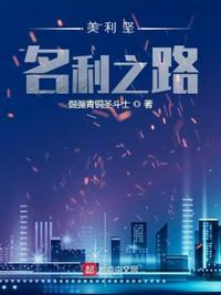 美利坚名利之路txt精校版